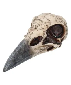 Edgar´s Raben Totenschädel -Halloween edgars raben skelettschaedel edgars raben totenschaedel edgars raven skull 39198 02