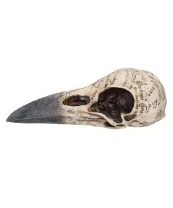 Edgar´s Raben Totenschädel -Halloween edgars raben skelettschaedel edgars raben totenschaedel edgars raven skull 39198 03