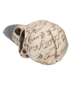 Edgar´s Raben Totenschädel -Halloween edgars raben skelettschaedel edgars raben totenschaedel edgars raven skull 39198 04