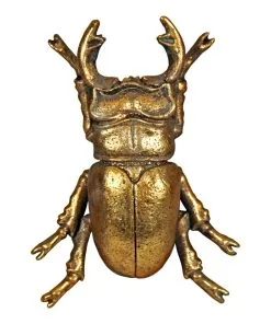 Goldfarbener Hirschkäfer Wandgestaltung 14,5cm