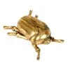 Goldfarbener Skarabäus Käfer Wandgestaltung 15cm