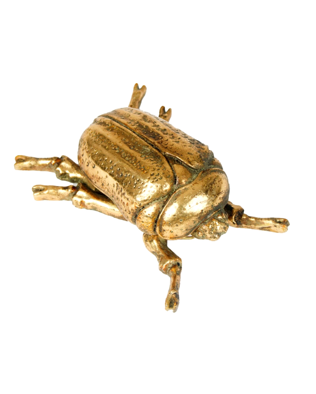 Goldfarbener Skarabäus Käfer Wandgestaltung 15cm 3 Goldfarbener Skarabäus Käfer Wandgestaltung 15cm