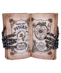 Hellseher Zauberbuch Deko 25,8cm