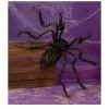 Schwarze Riesenspinne -Halloween haarige monsterspinne als halloween dekoration hairy monster spider as halloween decoration 21388