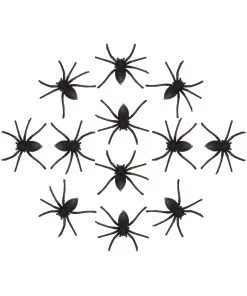 Halloween 30 12 Halloween Spinnen