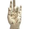 Wahrsage & Handlese Hand -Halloween handlese und wahrsage hand gothic deko halloween tischdekoration 50340 01