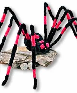 Riesenspinne Mit Knopfaugen