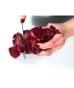 Realistisches Menschenherz Aus Gelatine -Halloween schneidbares menschenherz aus gelatine sliceable human heart made of gelatin halloween deko 52573 03