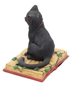 Schwarze Hexenkatze Mit Pentagramm -Halloween schwarze katze mit hexenbuch schwarze hexenkatze mit pentagramm witch cat eclipse 39250 03