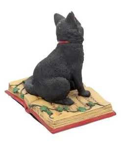 Schwarze Hexenkatze Mit Pentagramm -Halloween schwarze katze mit hexenbuch schwarze hexenkatze mit pentagramm witch cat eclipse 39250 04