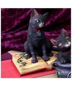 Schwarze Hexenkatze Mit Pentagramm -Halloween schwarze katze mit hexenbuch schwarze hexenkatze mit pentagramm witch cat eclipse 39250 05